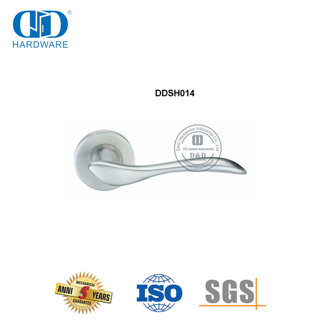 Maçaneta de porta fundida de precisão tipo alavanca de aço inoxidável sólido-DDSH014-SSS