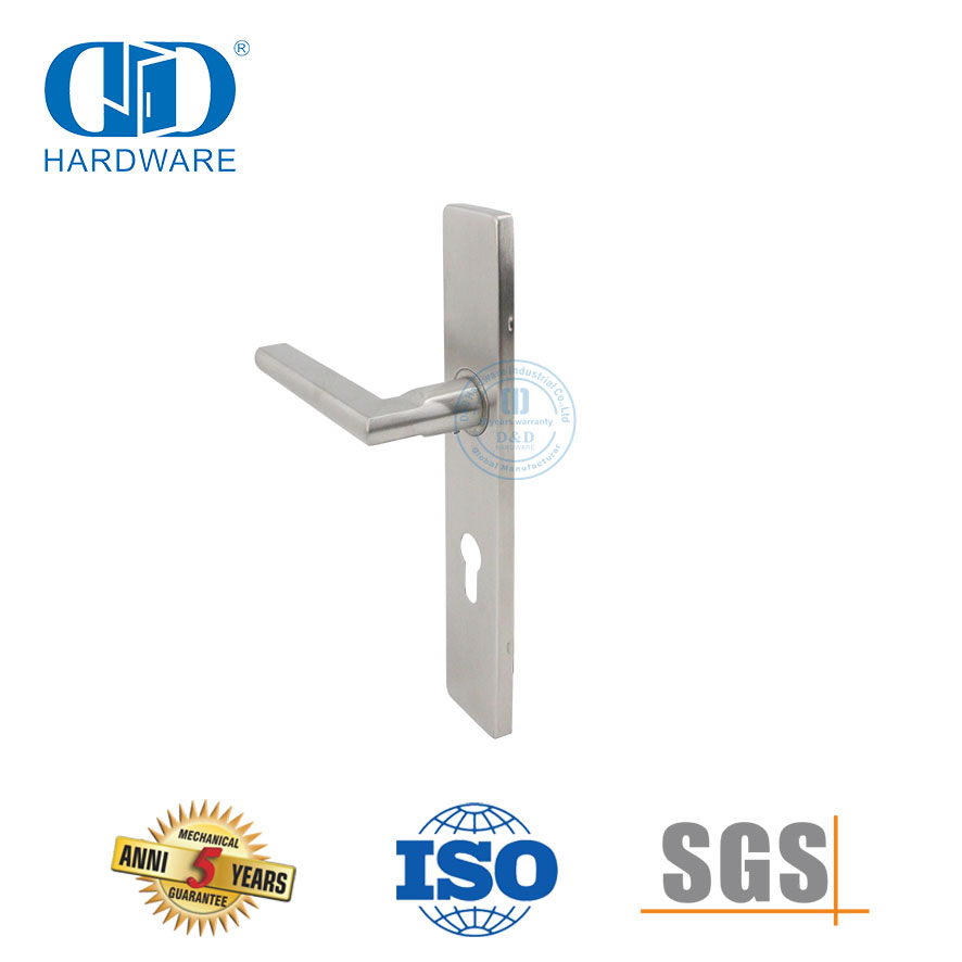 Maçaneta de porta de luxo leve com fechadura de painel de porta de entrada de casa-DDTP007