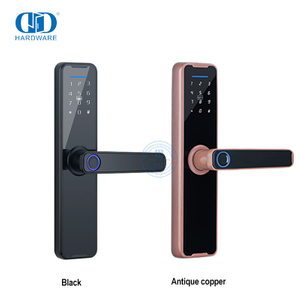 Porta digital anti-roubo com impressão digital inteligente Keyless Smart Electric Lock-DDDL005