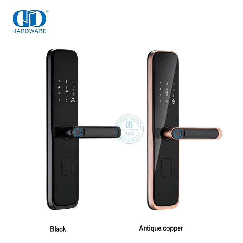 Segurança exterior interior remoto inteligente senha digital impressão digital fechaduras de porta inteligentes para porta dianteira-DDDL004