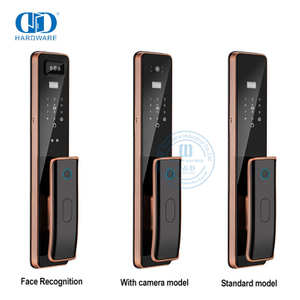 Captura remota wi-fi de luxo com chave da câmera, fechadura de porta inteligente com impressão digital-DDEL011