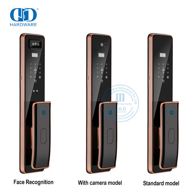Captura remota wi-fi de luxo com chave da câmera, fechadura de porta inteligente com impressão digital-DDEL011