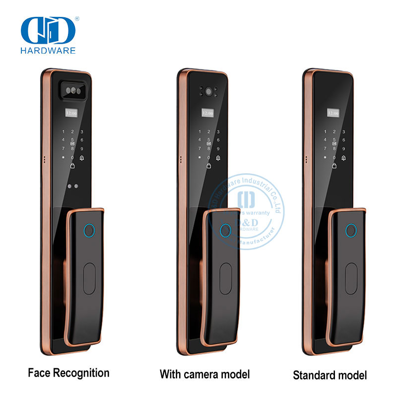Captura remota wi-fi de luxo com chave da câmera, fechadura de porta inteligente com impressão digital-DDEL011