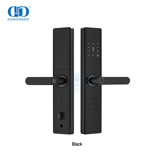 Fechaduras de porta de entrada com teclado digital sem chave para apartamento com tela-DDDL002