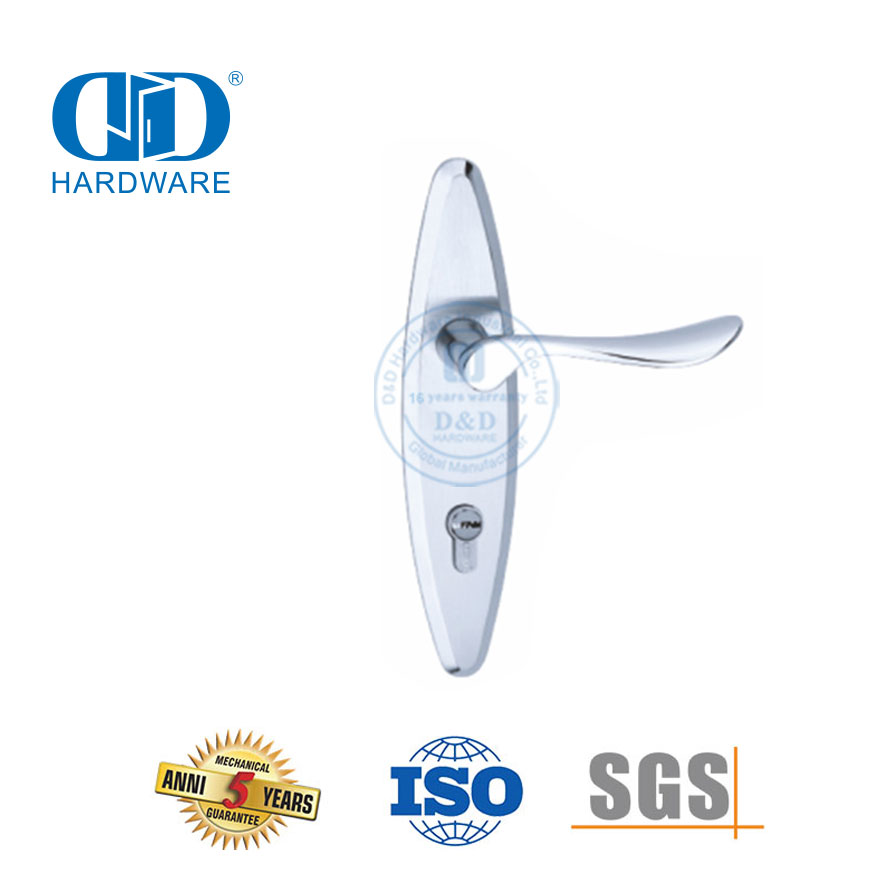 Clássico SUS304 de alta qualidade moderna porta exterior alças sólidas alavanca com placa traseira-DDLP002