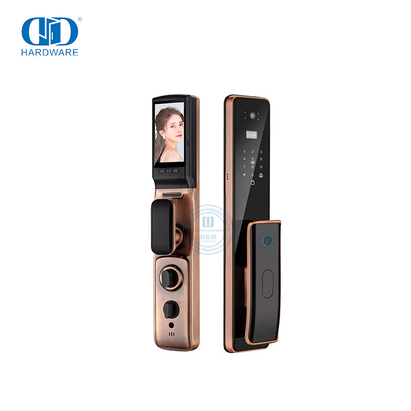 Captura remota wi-fi de luxo com chave da câmera, fechadura de porta inteligente com impressão digital-DDEL011